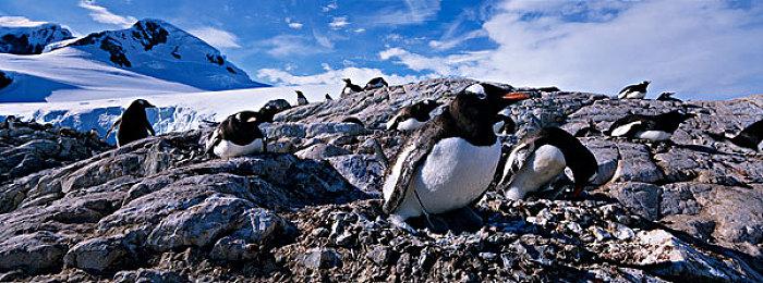 《星际战甲》登陆NS三周年 官方推出独占物品